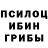 Галлюциногенные грибы прущие грибы Singo E
