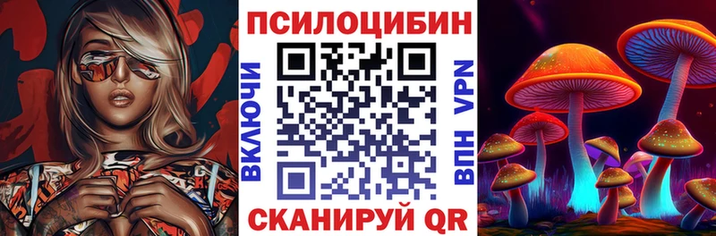 где продают наркотики  Балтийск  Псилоцибиновые грибы Psilocybe 