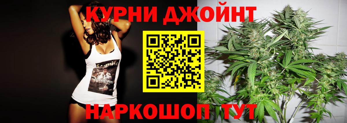 Бошки Шишки план Балтийск